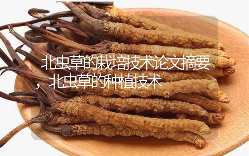 北蟲(chóng)草的栽培技術(shù)論文摘要，北蟲(chóng)草的種植技術(shù)