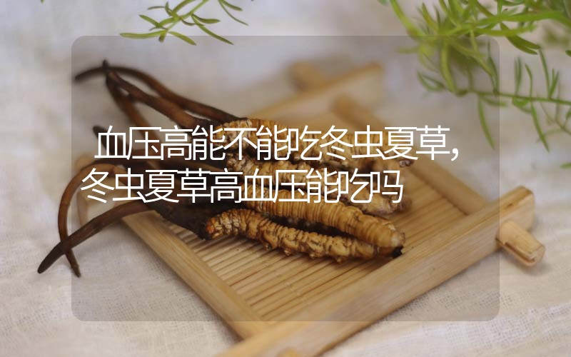 血壓高能不能吃冬蟲夏草，冬蟲夏草高血壓能吃嗎？