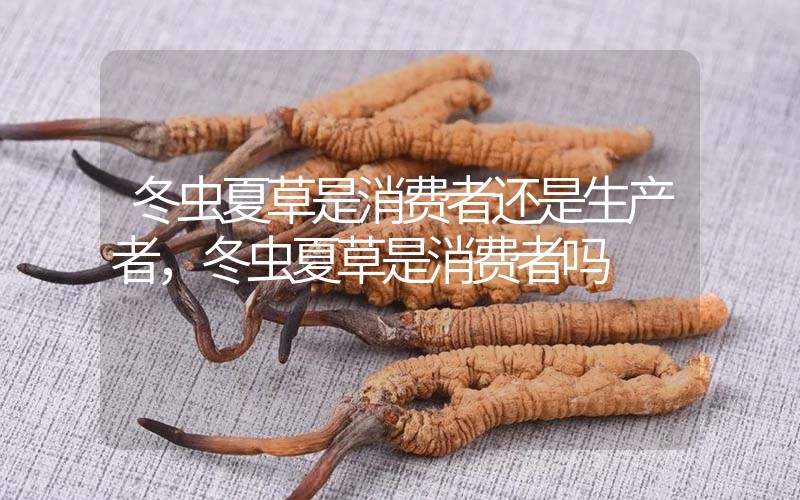 貧血吃冬蟲夏草有效果嗎，貧血虛弱者可以用冬蟲夏草嗎？