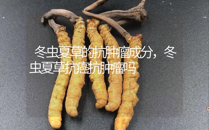 冬蟲夏草的抗腫瘤成分，冬蟲夏草抗癌抗腫瘤嗎？