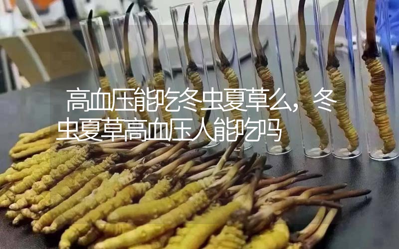 高血壓能吃冬蟲夏草么，冬蟲夏草高血壓人能吃嗎