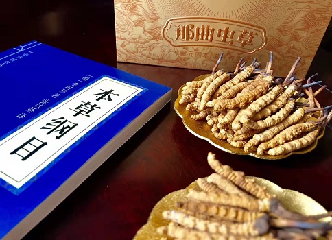 冬蟲夏草真就那么好嗎？它的主要功能是什么呀