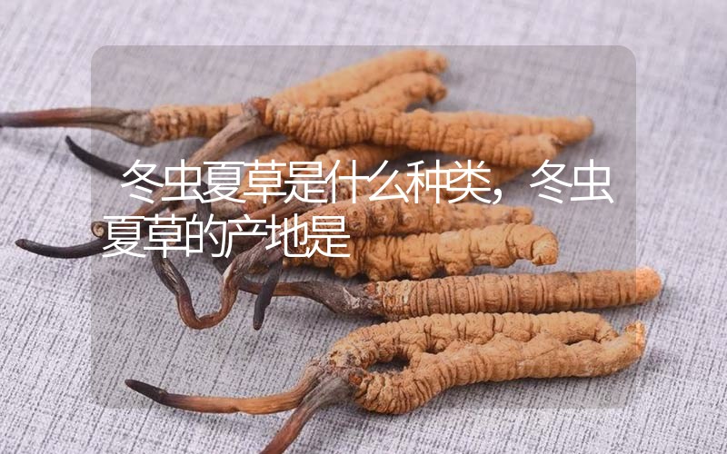 冬蟲夏草是什么種類，冬蟲夏草的產(chǎn)地是