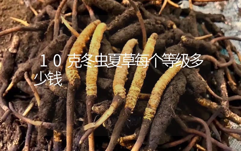 10克冬蟲夏草每個等級多少錢？