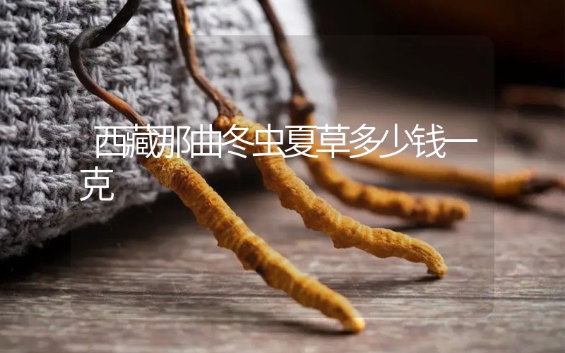 西藏那曲冬蟲夏草多少錢一克？