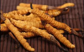 冬蟲夏草的產(chǎn)地很多，不同產(chǎn)地的蟲草價(jià)格差異巨大
