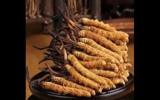 為什么藏民手里的蟲草比網(wǎng)上貴？