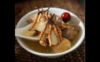 冬蟲(chóng)夏草可以和蘑菇一起吃嗎？