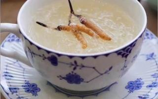 冬蟲夏草燉燕窩怎么做？