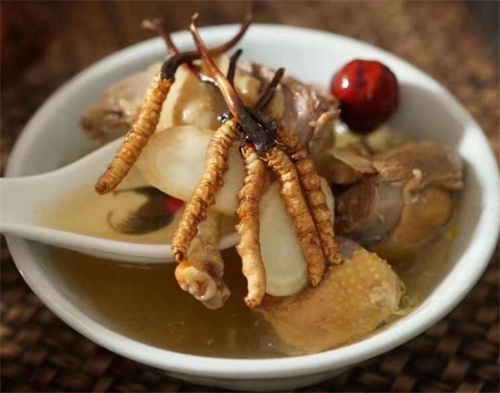 冬蟲夏草用什么壺煮水？