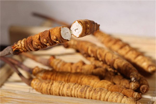 冬蟲(chóng)夏草怎么食用？冬蟲(chóng)夏草的食用指南