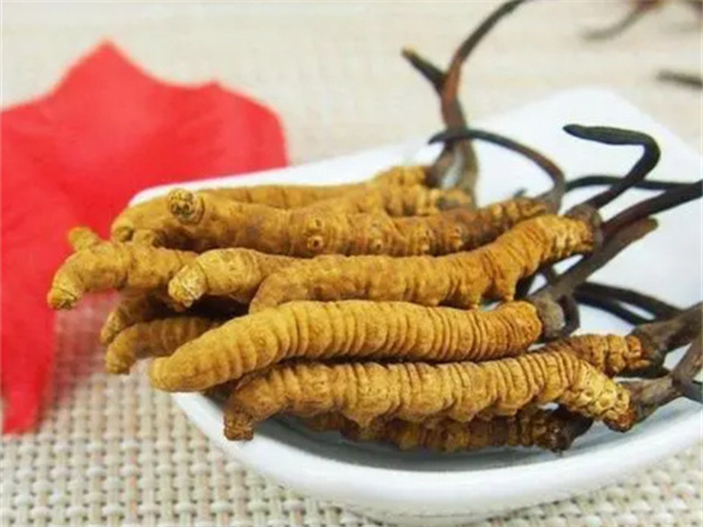 冬蟲(chóng)夏草怎么食用？冬蟲(chóng)夏草的4種食用方法