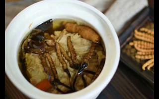 冬蟲夏草怎么食用？解鎖滋補養(yǎng)生的正確打開方式