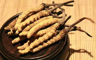 冬蟲(chóng)夏草的價(jià)格一克：為何如此昂貴？
