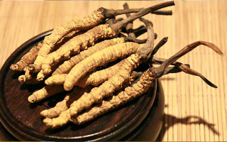 未來冬蟲夏草會漲價嗎？
