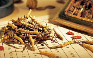 同仁堂健康冬蟲夏草：傳承品質(zhì)，饋贈(zèng)健康