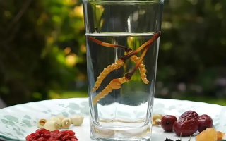 冬蟲夏草鮮品泡酒：養(yǎng)生佳釀還是健康隱患？