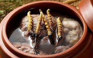 鮮冬蟲(chóng)夏草吃多會(huì)上火嗎？一文解析真相