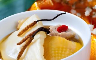 冬蟲夏草每天什么時候吃最好？一文詳解最佳食用時間