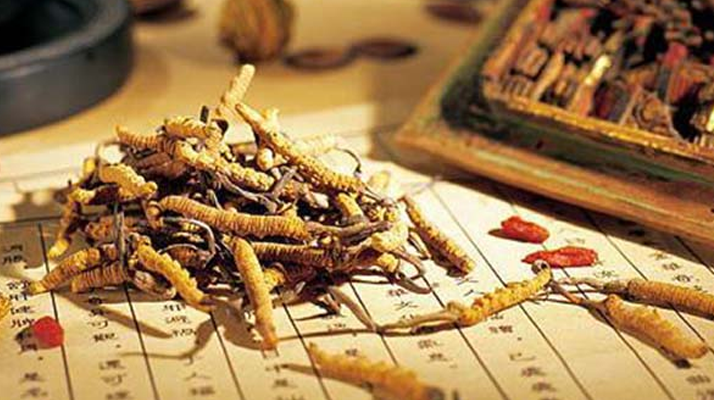冬蟲夏草是什么長成的？揭秘其獨特的生長歷程