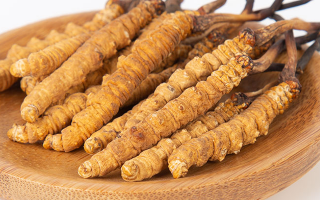 冬蟲夏草怎么驗真假？教你幾招秒判斷真?zhèn)蚊丶?> </div>
            <div   id=