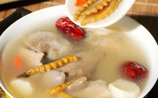 老人可以喝冬蟲夏草茶嗎？科學飲用的養(yǎng)生指南