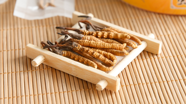 冬蟲夏草形成的必要條件：多要素精準(zhǔn)契合的自然奇跡